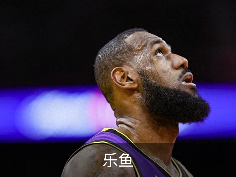 了解乐鱼